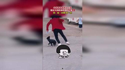 娱乐崽吃瓜,揭秘娱乐圈背后的那些事儿